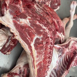 苏北吃草带皮羊肉新鲜羊肉山羊带皮带骨羊肉农家自养