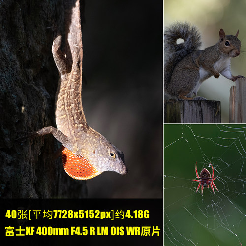 富士XF400mmF4.5 R LM OIS WR原片RAW+JPG相机直出未修原图高清图