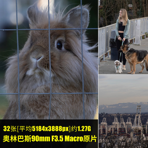 奥林巴斯90mm F3.5 Macro原片样片RAW+JPG相机直出原图高清素材图