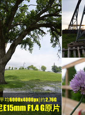 索尼E15mmF1.4G原片原图RAW+JPG相机图直出未修参考素材摄影图片