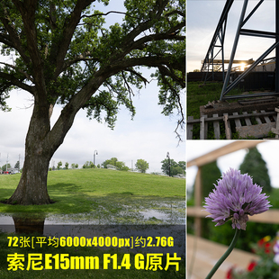 索尼E15mmF1.4G原片原图RAW+JPG相机图直出未修参考素材摄影图片