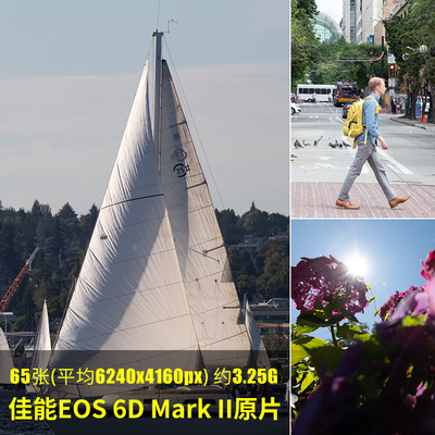 佳能EOS6DMarkII原片原图RAW+JPG相机直出练习未修参考素材样片图