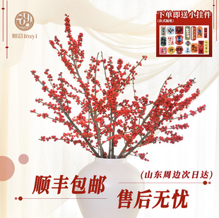 北美冬青年宵花山东基地高品质节日顺丰包邮东三省发云切南送挂件