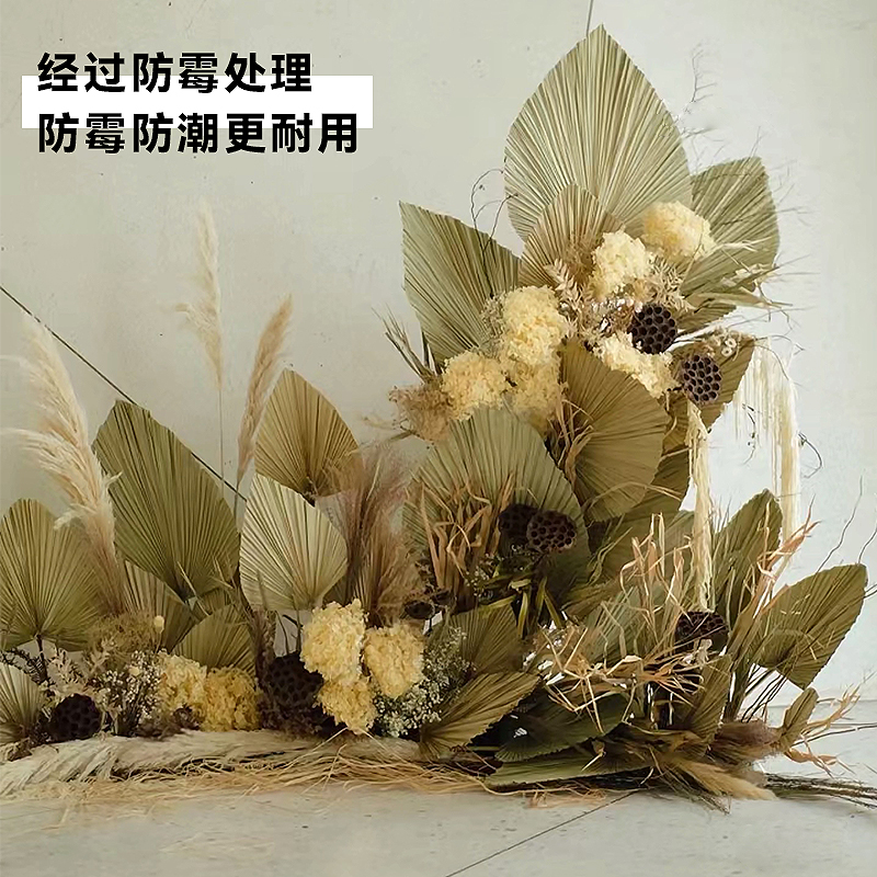 婚庆芦苇干花蒲葵干叶蒲扇叶