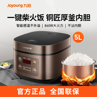 九阳电饭煲5L大容量家用柴火电饭锅3-4-6人2026新款官方正品