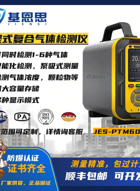 基恩思PTM600-SF6六氟化硫气体检测仪灭弧介质高浓度测试仪报警器