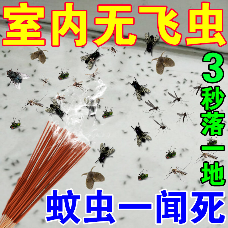 室内去除小飞虫克星家用下水道厨房垃圾桶灭杀神器无毒无味一闻死