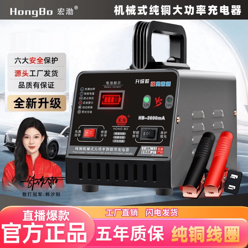 宏渤汽车电瓶充电器12V24V摩托蓄电池纯铜全智能通用型机器纯铜款