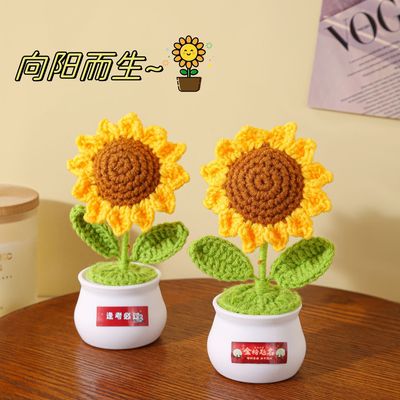 成品毕业季向日葵盆栽编织送礼