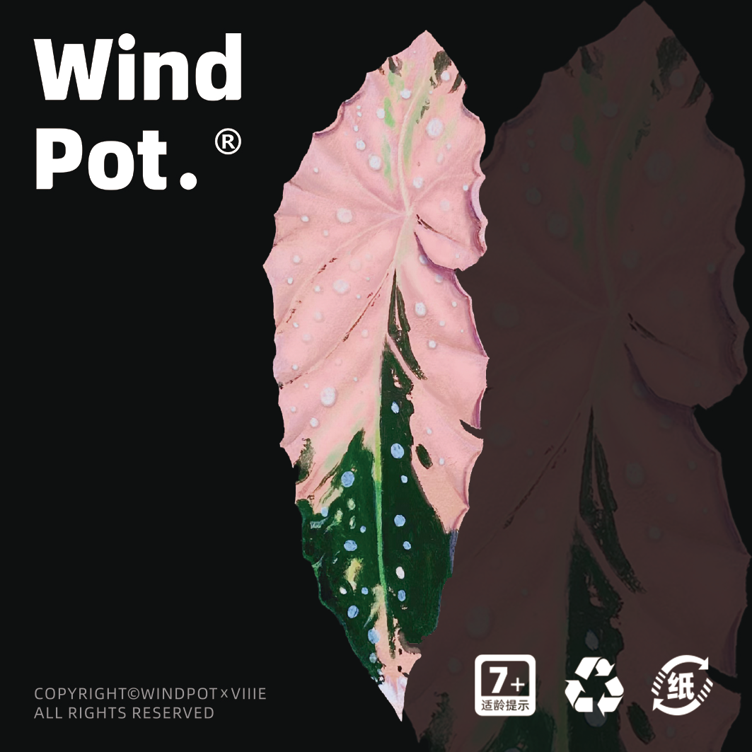 WindPot热带植物冰箱贴磁贴装饰