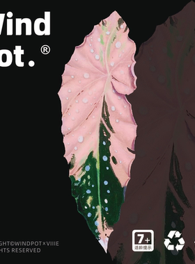 WindPot原创热带植物冰箱贴龟背竹秋海棠绿天鹅绒海芋磁贴装饰