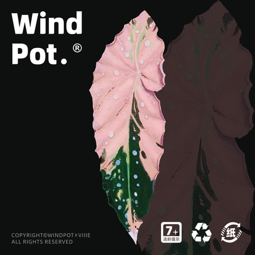 WindPot原创热带植物冰箱贴文创