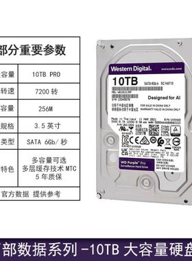 西.数WD/西.数101EJRP/WD121EJRP10TB紫盘Pro监控级AI硬盘12t1