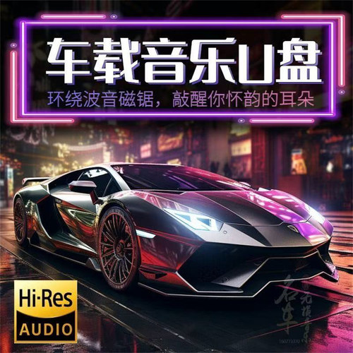 热销第1当月更新车载音乐u盘