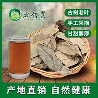 金钱柳茶青钱柳茶湖南城步野生茶叶产地直发【湘信翼】