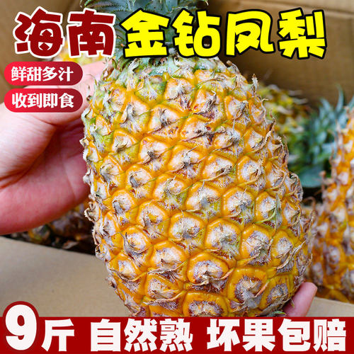 正宗海南金钻凤梨9斤新鲜水果当季树上熟非手撕香水菠萝无眼整箱