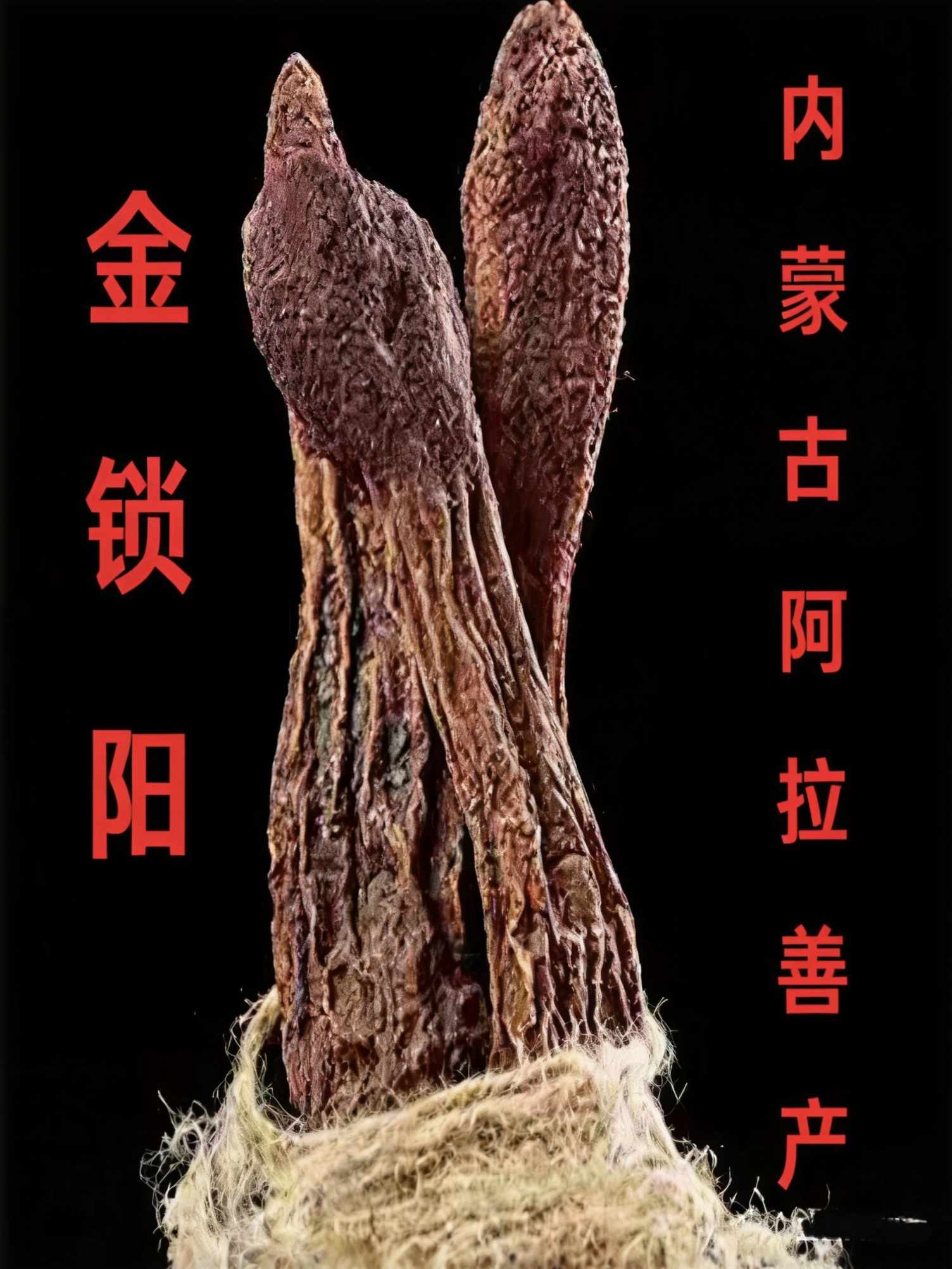 野生金锁阳中药材内蒙古正品锁阳片500g男性养生滋补品苁蓉片包邮