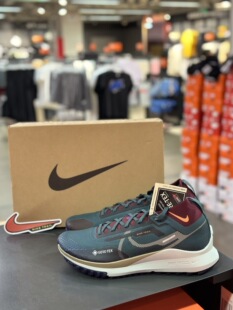 耐克Nike Pegasus Trail 4 GTX男子低帮防水越野跑鞋HM9728-300