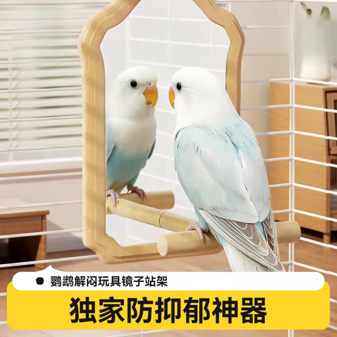 鹦鹉专用原木站杆挂笼镜玩具自嗨