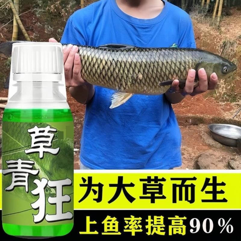 草青狂钓青鱼草鱼饵料添加剂黑坑野钓大青鱼诱鱼剂黑坑水库小药水
