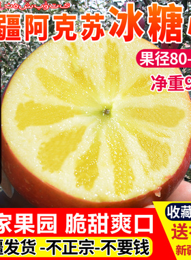 正宗新疆阿克苏冰糖心苹果10新鲜水果苹果当季整箱斤胜丑苹果甜