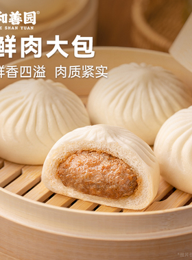 和善园招牌鲜肉大包 480g袋装早饭面食速冻半成品早点包子早餐包