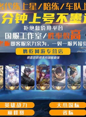 【国服工作室】王者荣耀上星代陪练打排位巅峰大小国标省标通天代