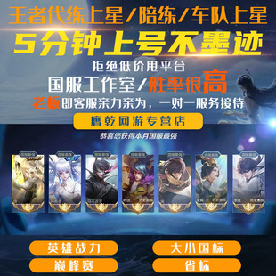 【国服工作室】王者荣耀上星代陪练打排位巅峰大小国标省标通天代