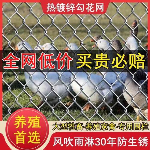 热镀锌铁丝网围栏河北源头厂批发