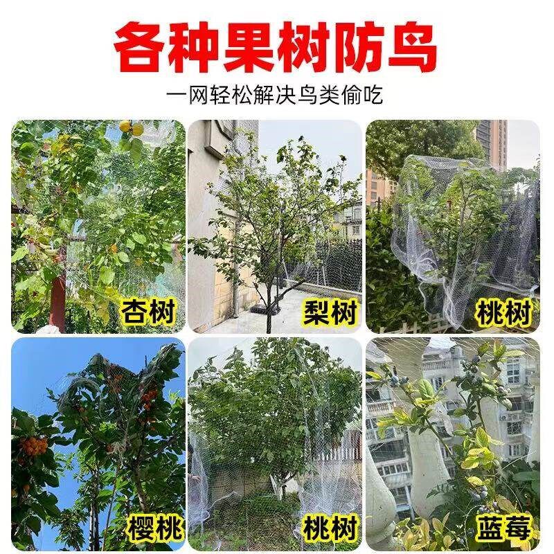 速发防鸟网果树防鸟罩嘉宝果樱桃枇杷防鸟用的网罩尼龙线丝网果园