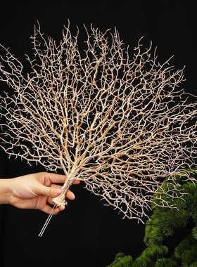 速发刺身装饰摆件珊瑚树件店冷品装饰花草摆盘装饰摆酒菜寿司摆件