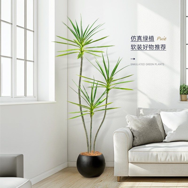 速发奢年木假树物客厅轻千绿植装饰植室内大型盆栽龙血树落地摆件