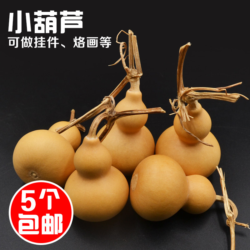速发葫芦雕刻烙画烫用手把玩葫葫芦手捻小芦摆件专画葫芦亚腰葫芦