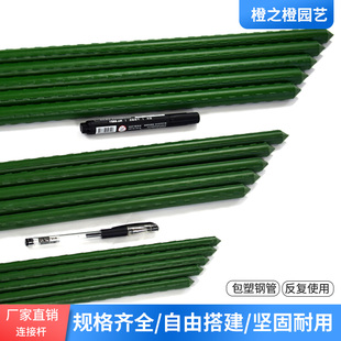 庭院葡萄架爬藤架 包塑鋼管花支架桿 百香果黃瓜絲瓜鐵線蓮攀爬架