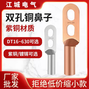 240平方紫铜线耳 150 DTS双孔铜鼻子国标镀锡线鼻子接线端子70