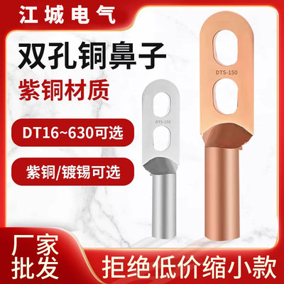 DTS双孔铜鼻子国标A级紫铜线耳