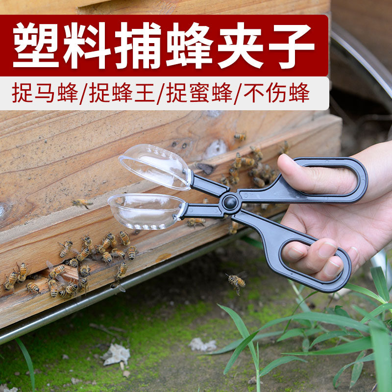 捕蜂夹野外捉抓马蜂胡蜂 兜蜂场专用工具 捕捉野蜂保护蜜蜂捕蜂笼