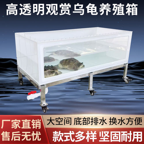 可食用级PP板乌龟养殖箱