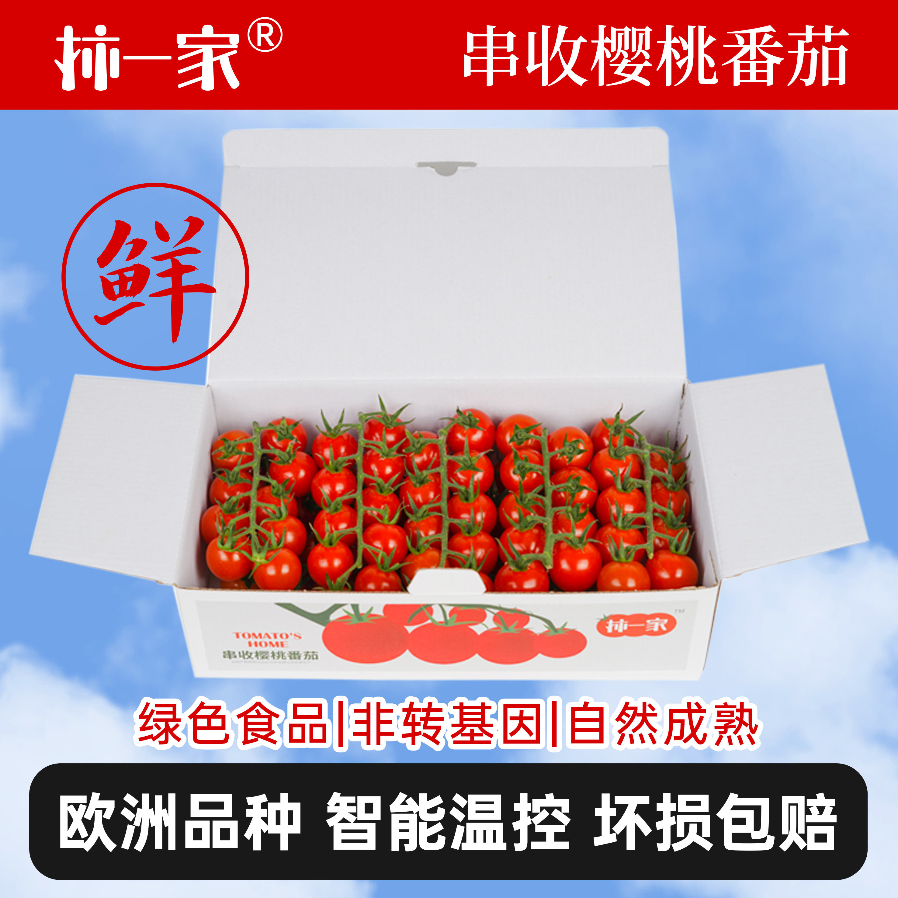 柿一家串收樱桃番茄新鲜水果千禧圣女果小西红柿绿色健康