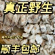 正宗贵州野生茯苓块茯神中药材无硫正品 深山老树茯苓茯神