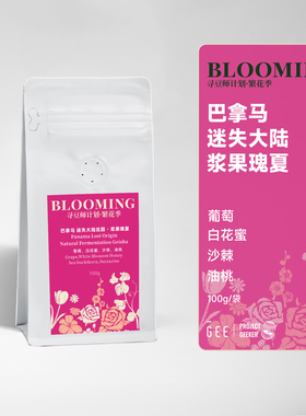 GEE咖啡寻豆师巴拿马迷失大陆庄园浆果瑰夏精品黑咖啡豆100g