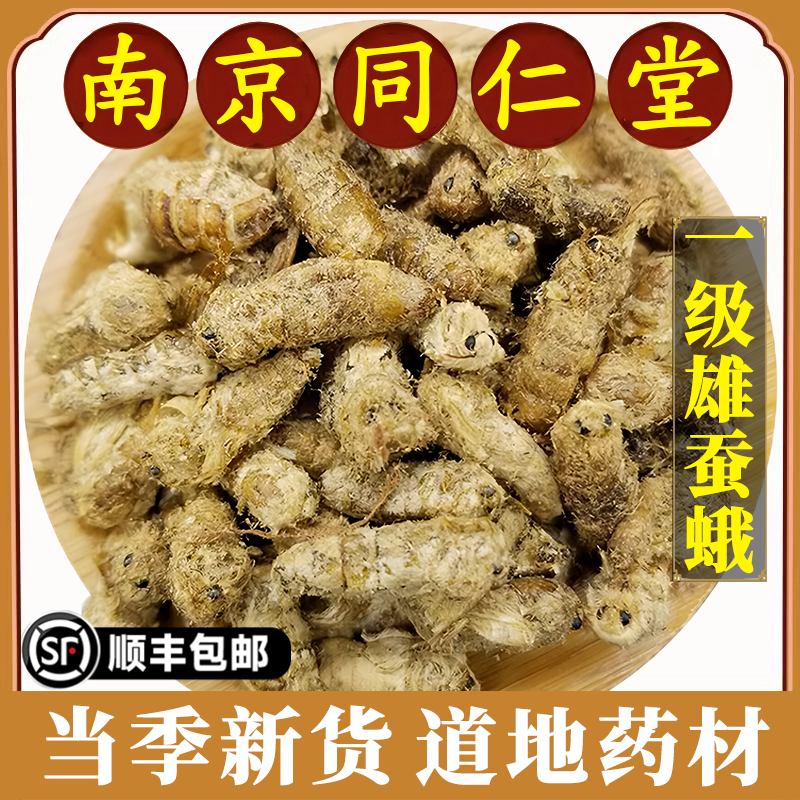 南京同仁堂正品雄蚕蛾中药材特级