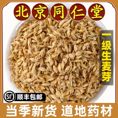 北京同仁堂正品生麦芽中药材原料