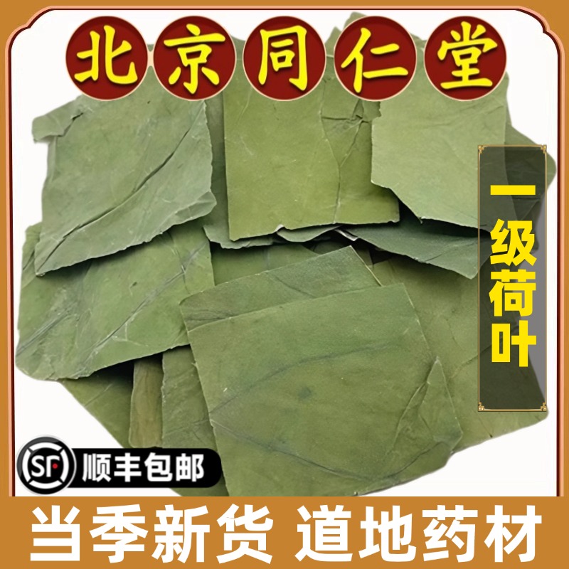 同仁堂正品荷叶片中药材荷叶干方片大肚子茶煮水泡水喝500g原材料
