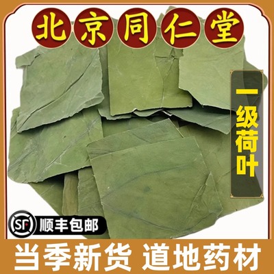 同仁堂正品荷叶片中药材