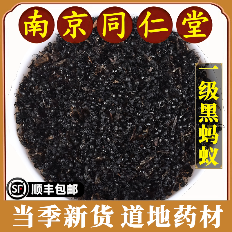 南京同仁堂正品蚂蚁中药材拟黑多刺黑蚂蚁泡酒料黑蚂蚁干100g包邮