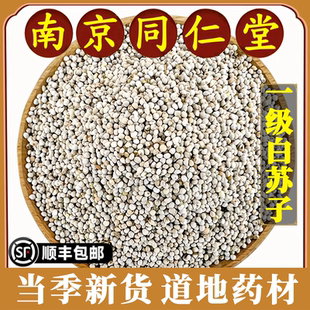 南京同仁堂白苏子中药材特级软壳苏籽鹦鹉玉鸟粮芙蓉鸟金丝雀黄鸟