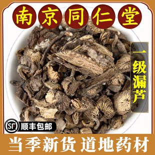 南京同仁堂漏芦中药材漏芦根片别名狼头花野兰鬼油麻特级新货漏芦