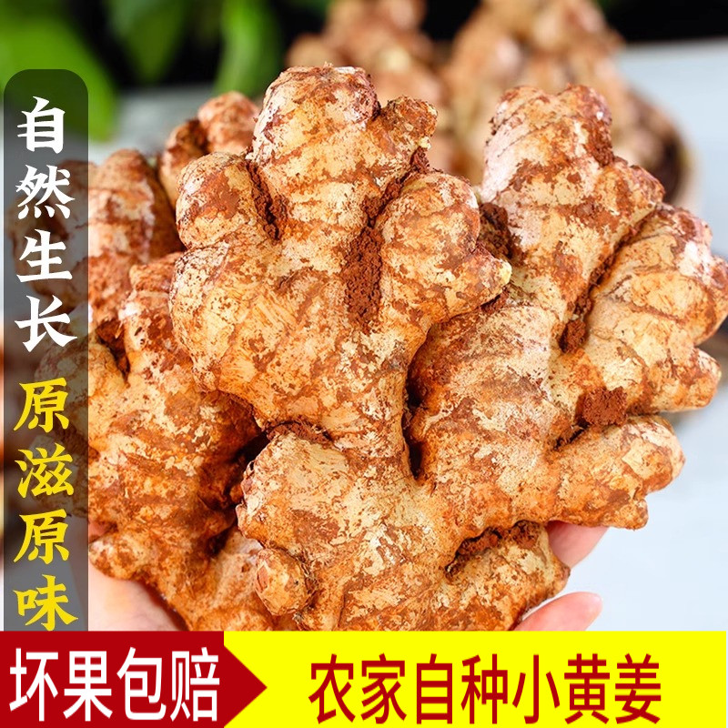 四川农家小黄姜新鲜现挖老姜月子姜食用生态土姜生姜蔬菜,水产肉类/新鲜蔬果/熟食,生姜/南姜,淘宝优惠券,粉丝福利购,淘宝优惠卷