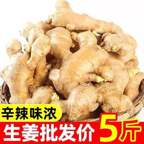 农家自种老姜现挖新鲜月子姜黄姜新姜食用生态土姜生姜蔬菜包邮